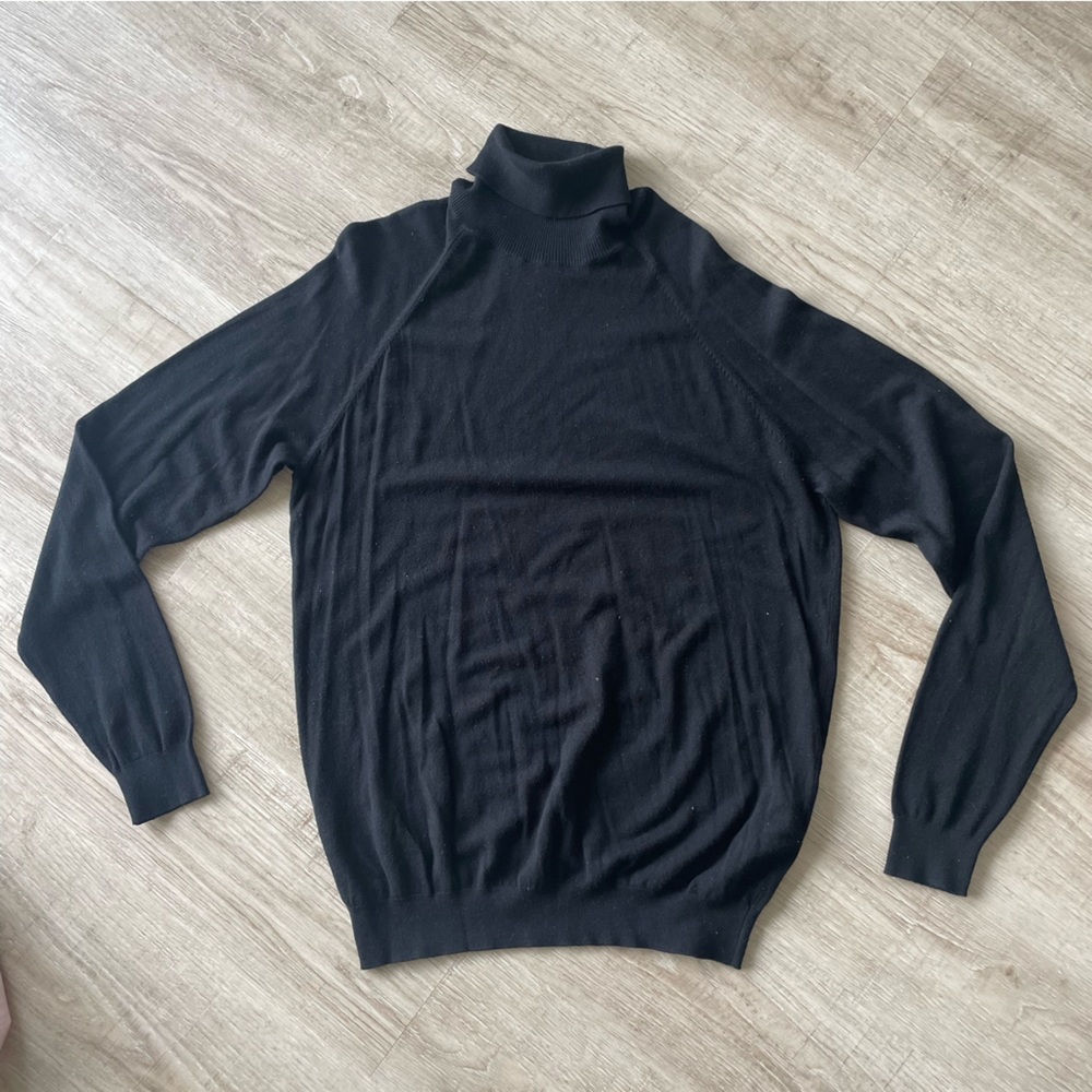 Zara Turtle Neck